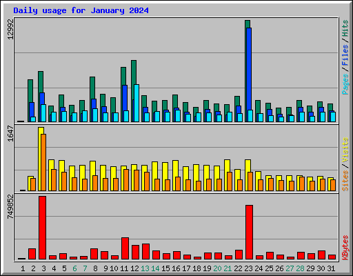 Daily usage for January 2024