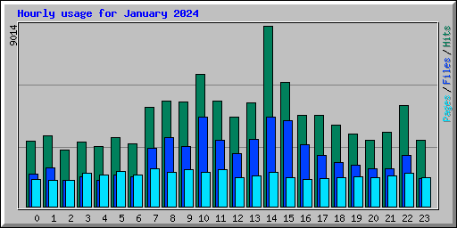 Hourly usage for January 2024