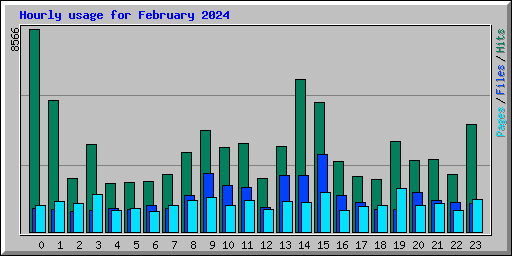 Hourly usage for February 2024