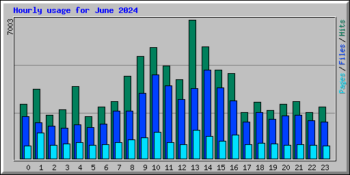 Hourly usage for June 2024