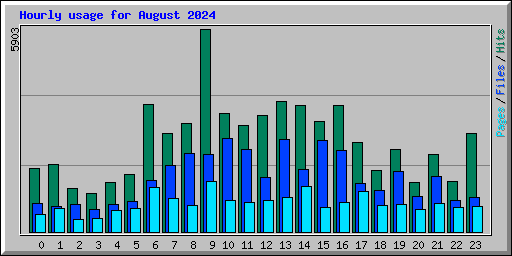 Hourly usage for August 2024