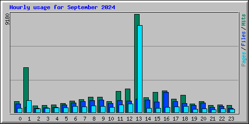 Hourly usage for September 2024