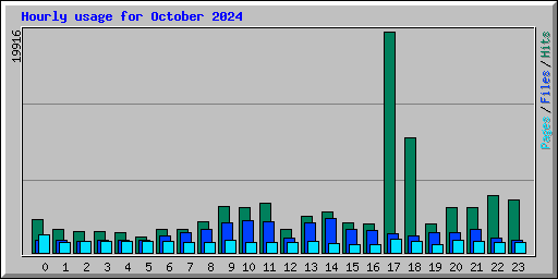 Hourly usage for October 2024