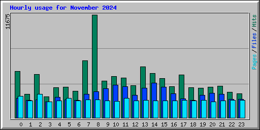 Hourly usage for November 2024