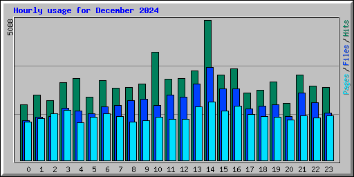 Hourly usage for December 2024