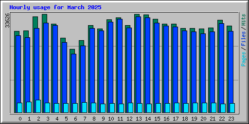 Hourly usage for March 2025