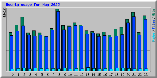 Hourly usage for May 2025