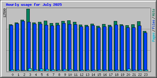 Hourly usage for July 2025