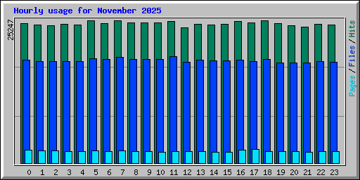 Hourly usage for November 2025