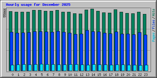 Hourly usage for December 2025