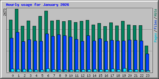Hourly usage for January 2026